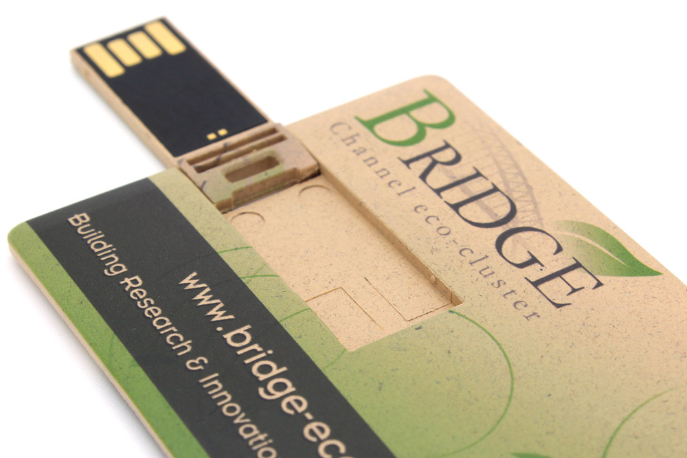 Cle USB Carte Affaire Bio Bridge